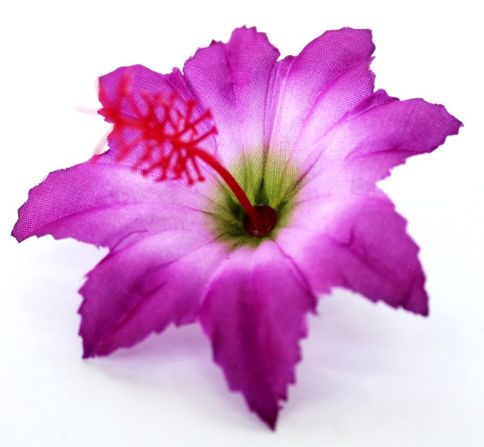 Г11391 Голова клематис"Чипполино"d=9см(800микс)