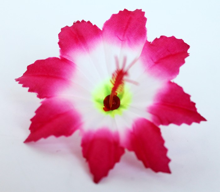 Г11391 Голова клематис"Чипполино"d=9см(800микс)