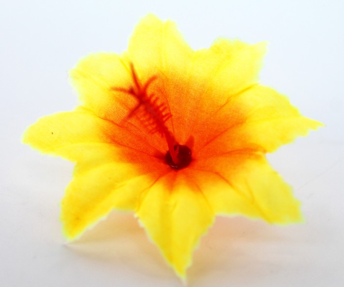 Г11391 Голова клематис"Чипполино"d=9см(800микс)