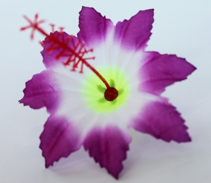 Г11391 Голова клематис"Чипполино"d=9см(800микс)