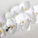В10672 Б/С Орхидея гибрид.3D силик.Los Angeles 9г.Н95см(2шт)