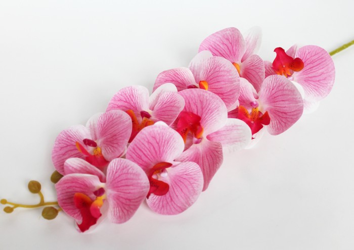 В10672 Б/С Орхидея 11 расцветок 9 голов латекс 3D Los Angeles 95см(4шт)