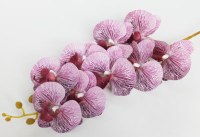 В10672 Б/С Орхидея 11 расцветок 9 голов латекс 3D Los Angeles 95см(4шт)