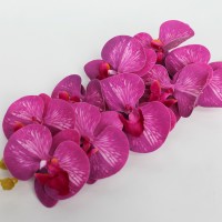 фуксия