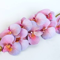 лавандово-розовый
