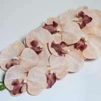 Персиковый