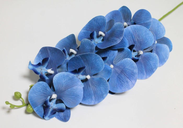 В10672 Б/С Орхидея 11 расцветок 9 голов латекс 3D Los Angeles 95см(4шт)