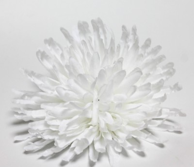 Г9575 Хризантема игольчатая"Балтика"d=14см(40шт)