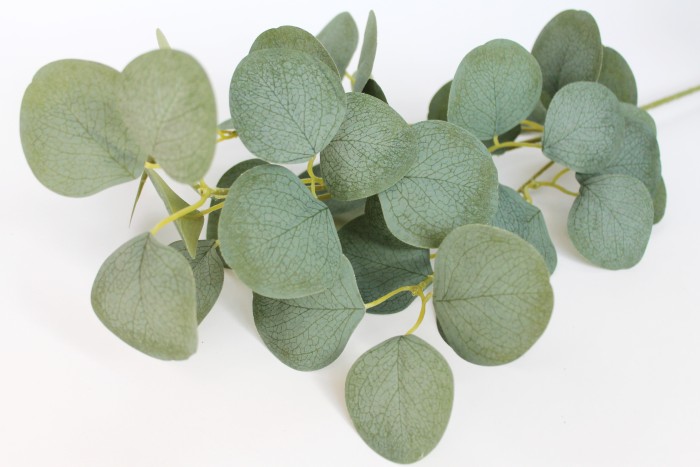 В11758 Б/С Ветка эвкалипта"Сильвер доллар"Н63см(10шт)