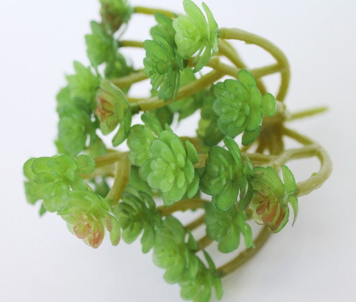 Э10308 Б/С Суккулент Оскулярия d=13см h=13см(2шт)