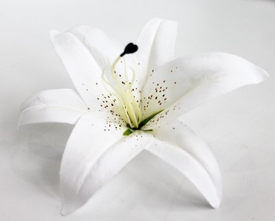 Г11747 Голова евро-лилии из латекса большая 21см(20шт)