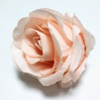 Персиковый