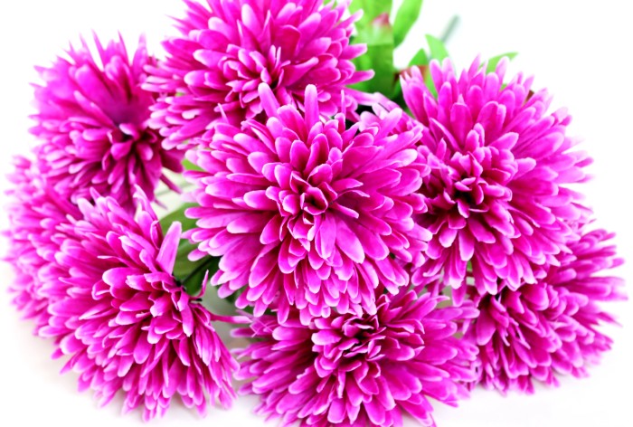 Б10217 Бук.хризантем"Эстония"9г.9сл.Н54см(10микс)