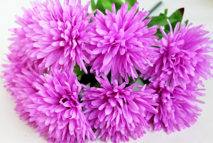 Б10217 Бук.хризантем"Эстония"9г.9сл.Н54см(10микс)