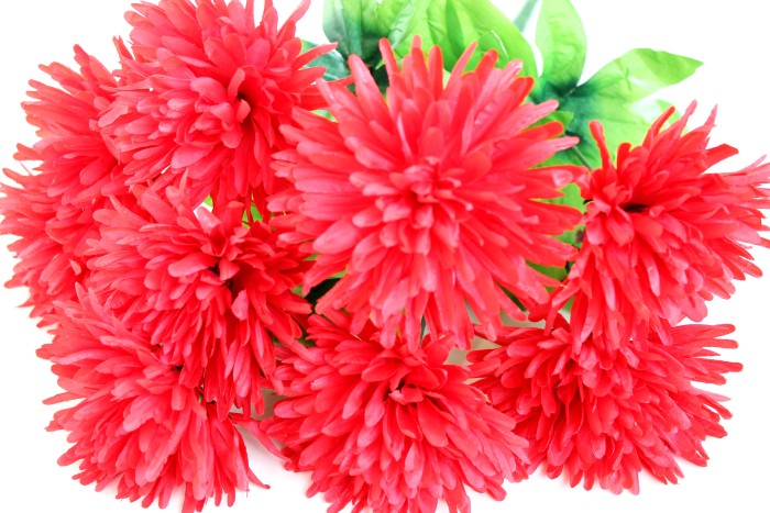 Б10217 Бук.хризантем"Эстония"9г.9сл.Н54см(10микс)