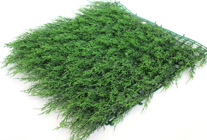 Д11589 Б/С Газон из густой и большой туи Смарагд 60смх55см