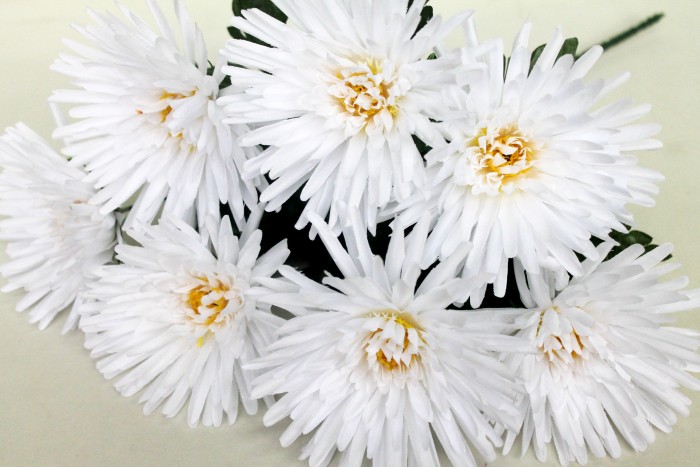 Б10930 Б/С Бук.игол.хриз.8 слоев"Потапыч"7гН54см(7микс)