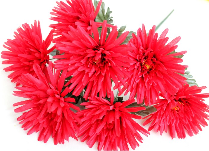 Б10930 Б/С Бук.игол.хриз.8 слоев"Потапыч"7гН54см(7микс)