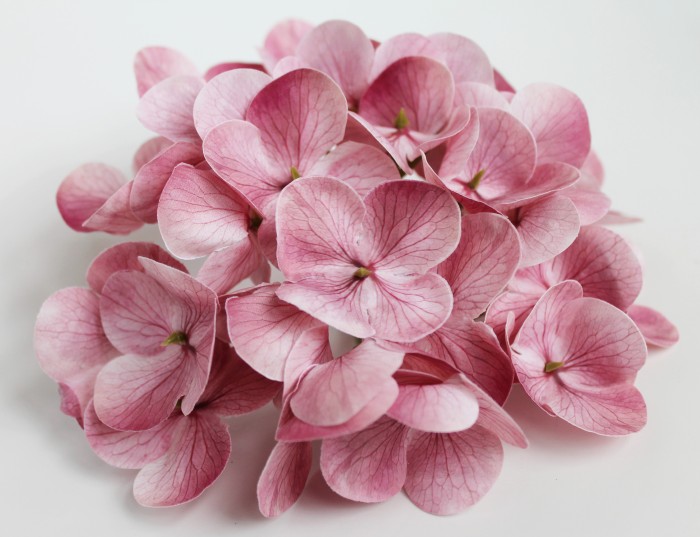 Г11817 Б/С Гортензия шикарная большая 3D из латекса 16см (20шт)