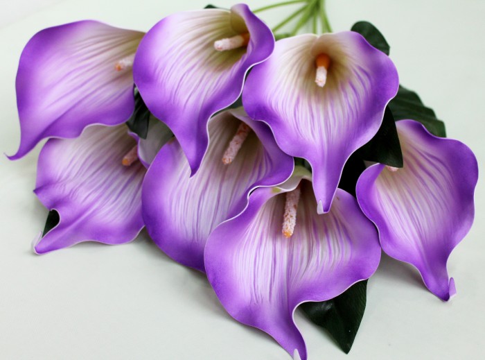 Б11283 Б/С Бук.особо крупной рифленой каллы"Пикассо"7г.Н62см(20микс)