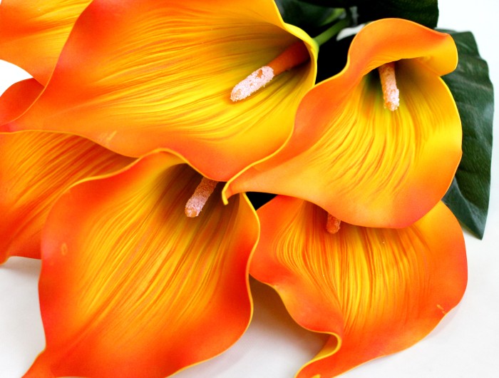 Б11283 Б/С Бук.особо крупной рифленой каллы"Пикассо"7г.Н62см(20микс)