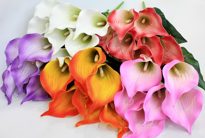 Б11283 Б/С Бук.особо крупной рифленой каллы"Пикассо"7г.Н62см(20микс)