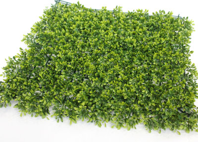 Д11591 Б/С Газон из болеарского объемного самшита 55смх55см