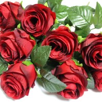 Красно-чёрный