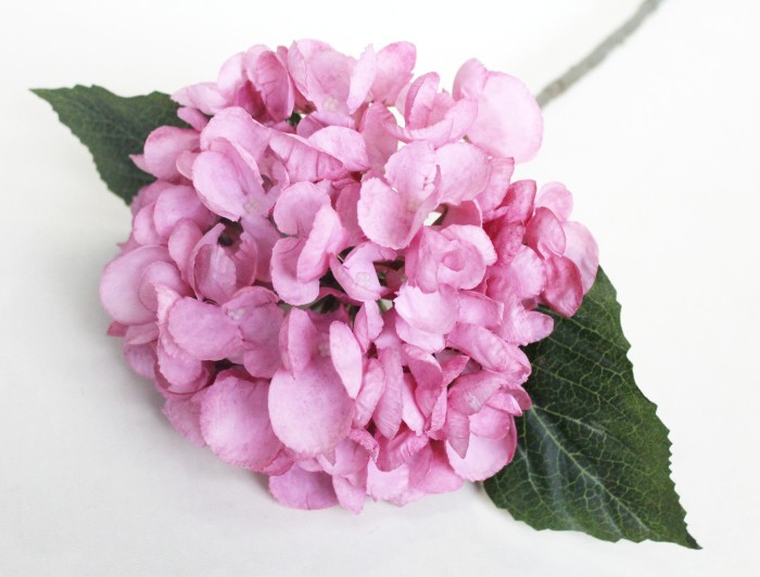 О10845 Б/С Гортензия евро"Миллионерша"Н64см(3микс)