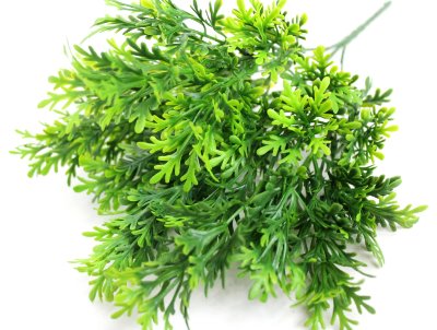 Б11980 Букет пушистая туя западная Мики 5в.36см(10шт)