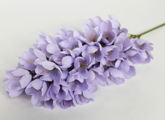 В11812 Б/С Гиацинтоидес декоративный 86см