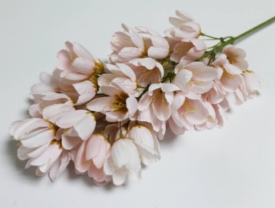 В11812 Б/С Гиацинтоидес декоративный 86см