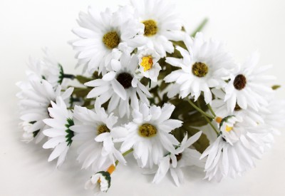 Б11683 Б/С Бук.20 больш.гол.и 5 мал.ромашки полевой 5в.Н40см(10шт)