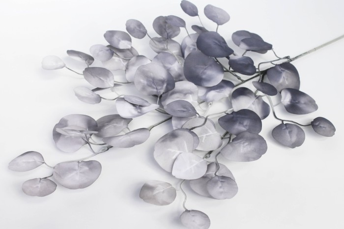 В11286 Б/С Вет.эвкалипт популус Н80см