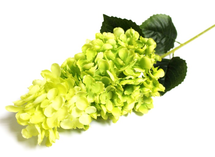 В11813 Б/С Гортензия крупноголовая Фрайз Мельба 84см