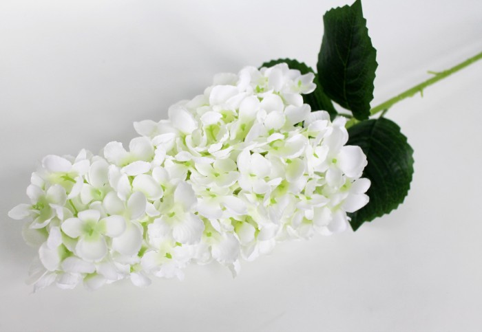 В11813 Б/С Гортензия крупноголовая Фрайз Мельба 84см