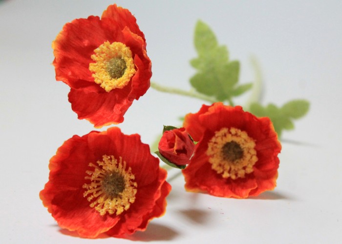 В12041 Б/С Вет.Мак полевой 3гол.+1бут.H62см(10шт)