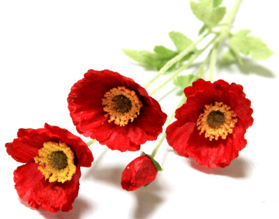 В12041 Б/С Вет.Мак полевой 3гол.+1бут.H62см(10шт)