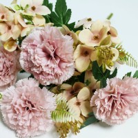 евро-розовый