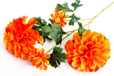 В11896 Б/С Элитный крупный георгин&quot;Визард&quot;4гол.70см(3микс)