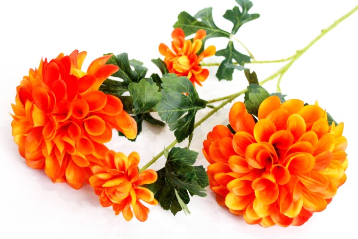 В11896 Б/С Элитный крупный георгин"Визард"4гол.70см(3микс)