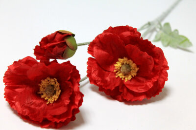 В12042 Б/С Вет.Мак самосейка 2гол.+1бут.H60см(5шт)