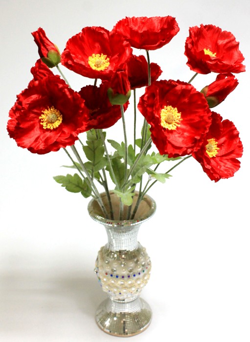 В12042 Б/С Вет.Мак самосейка 2гол.+1бут.H60см(5шт)