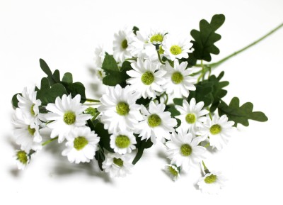 В8049 Б/С Ветка ромашка аптечная 25г Н63см(10шт)