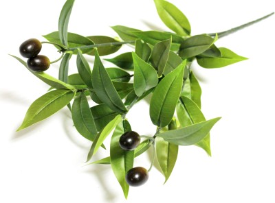 Б12096 Б/С Букет королевской оливы 4 ягоды 4 ветки 46см(10шт)