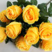 Б4687 Бук. оригинальный роза"Андалуссия"9г.Н55см(16микс)