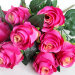 Б4687 Бук. оригинальный роза"Андалуссия"9г.Н55см(16микс)