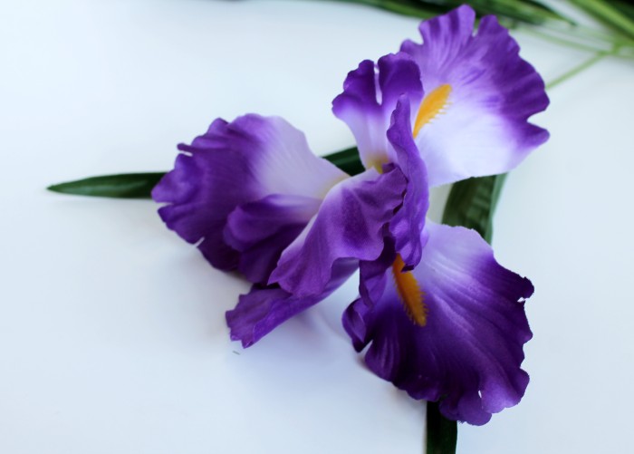 Б9144 Б/С Бук. ирис по расцветкам 7 гол.оригинал."Лорион"65см(10шт)