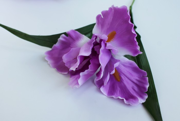 Б9144 Б/С Бук. ирис по расцветкам 7 гол.оригинал."Лорион"65см(10шт)