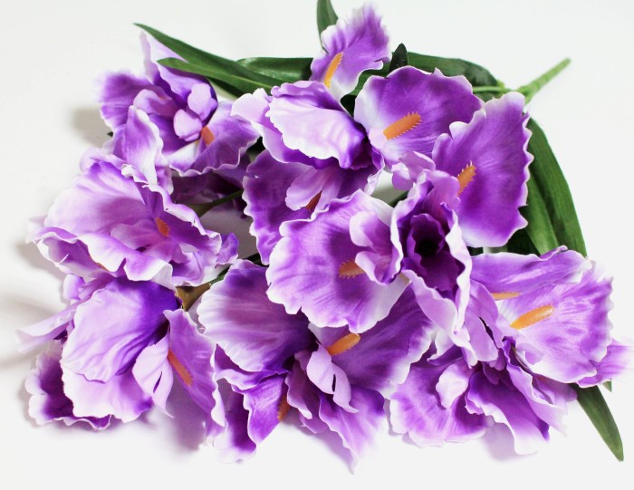 Б9144 Б/С Бук. ирис по расцветкам 7 гол.оригинал."Лорион"65см(10шт)